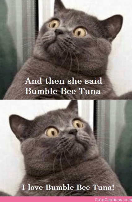 tuna randommusings.filminspector.com