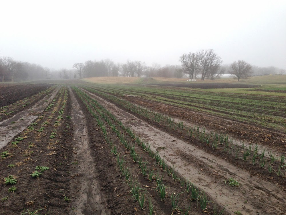 Tempel Farms Organics