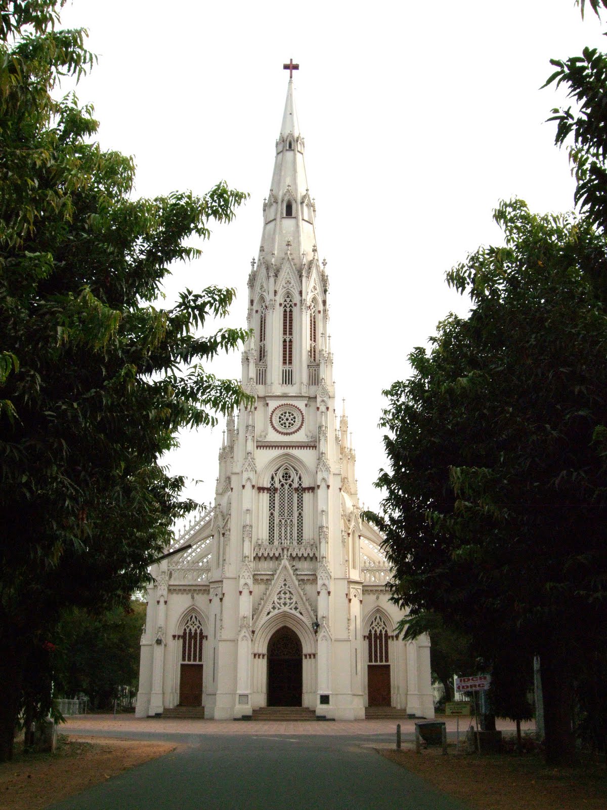 History Matters And Animals Loyola College Chennai 
