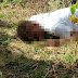Homem é encontrado morto em Ipirá
