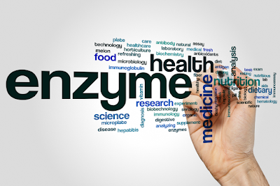 Enzyme - Health, Science, Research, Food, Medicine, Nutrition etc.