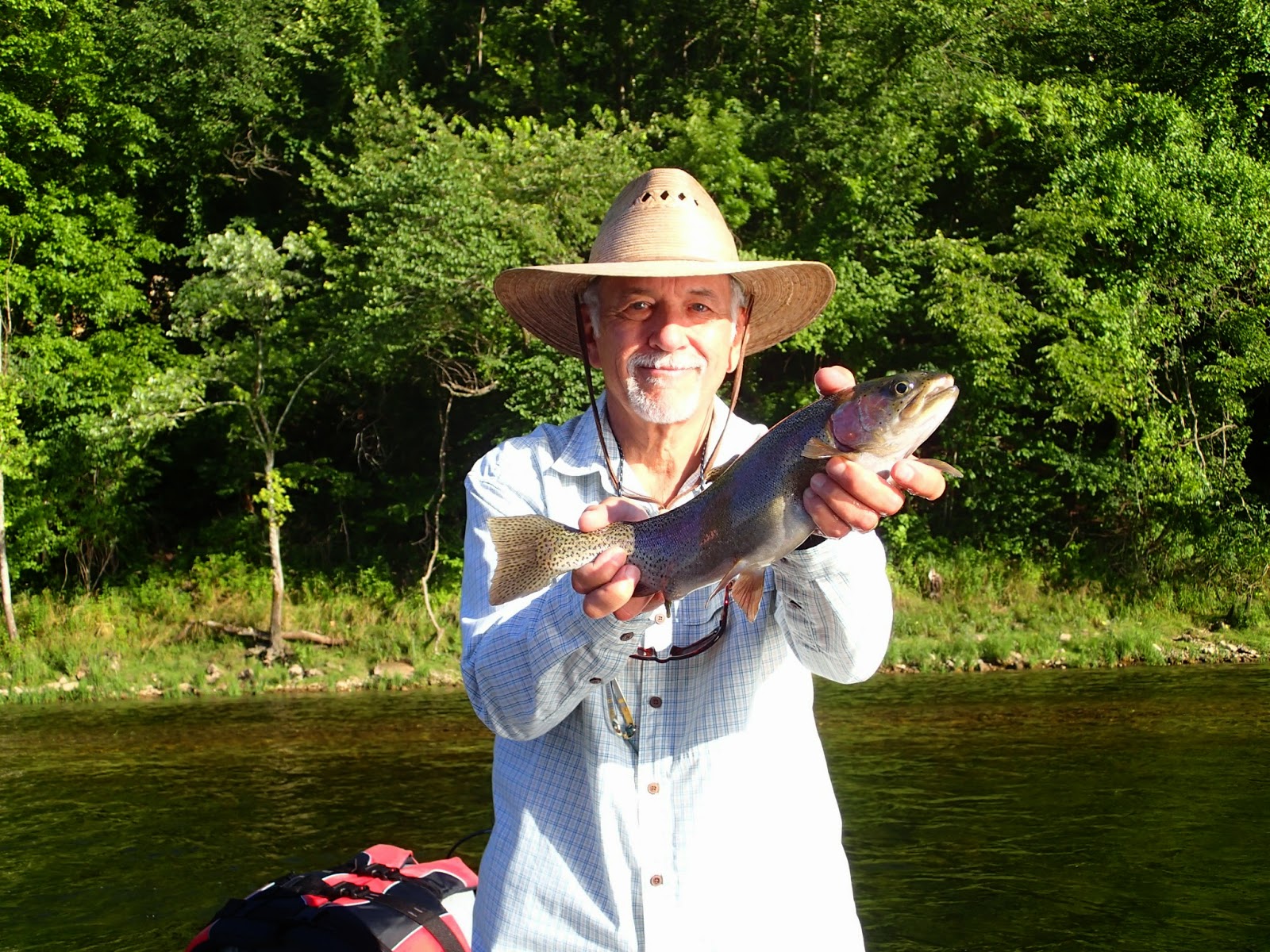 A Fly Fishing Report and Blog for the White and Norfork Rivers in