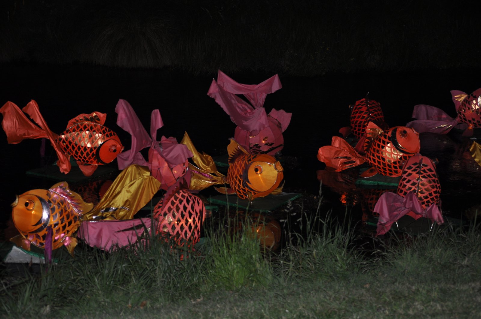 Chinese Lantern Festival 2024 Christchurch Lee Karalee
