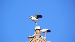 Aves, Huesca (Aragón)