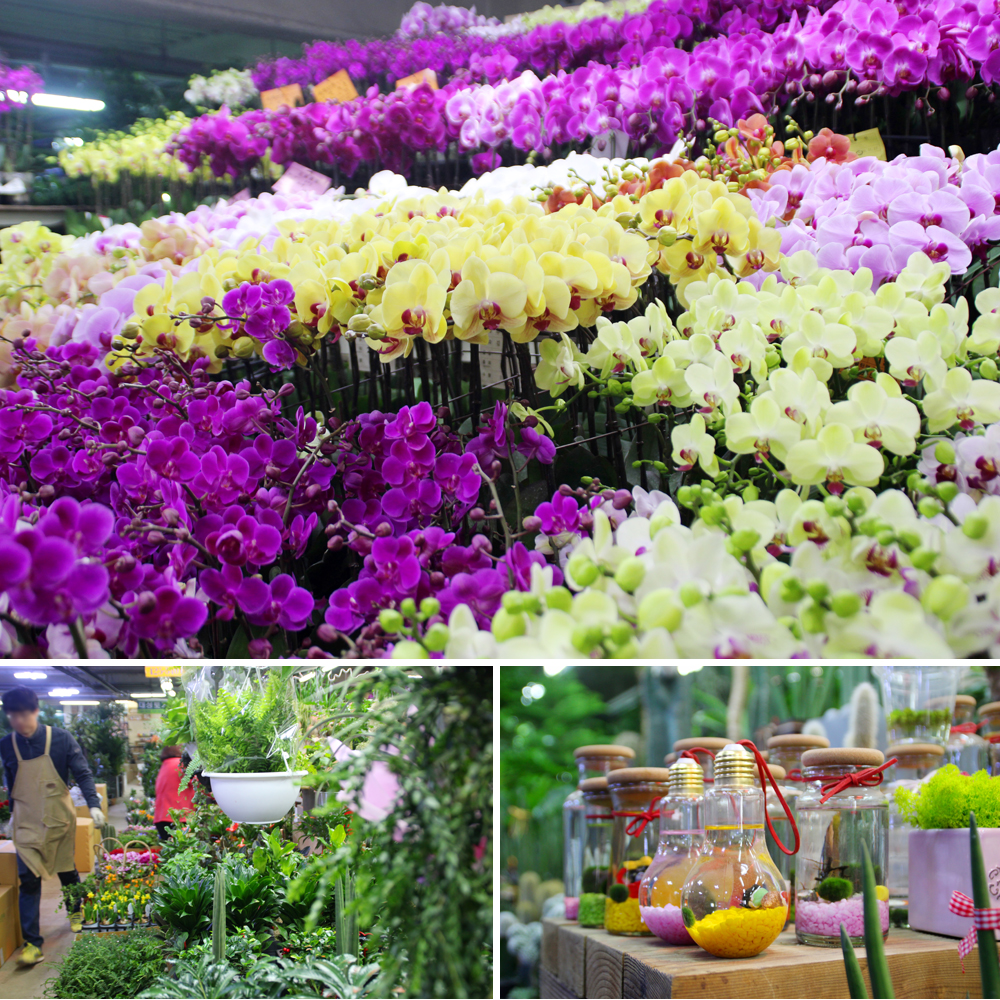 Where to Buy Inexpensive Flowers The Biggiest Flower Mall in Daegu
