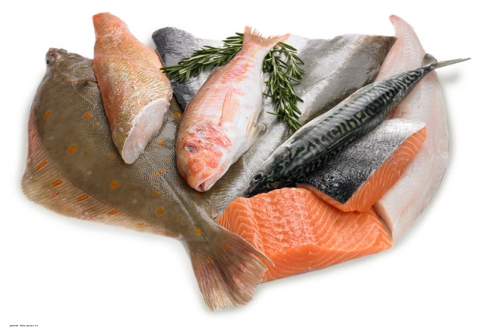 Fish product. Морские рыбы. Полезная рыба. Рыба и морепродукты. Замороженная рыба.