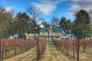 Old House Vineyards