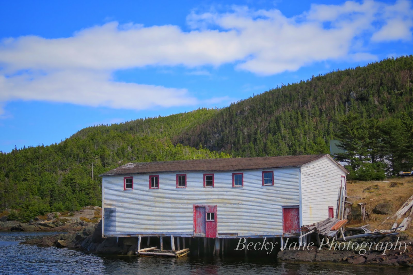 Becky Jane Photography Moreton’s Harbour