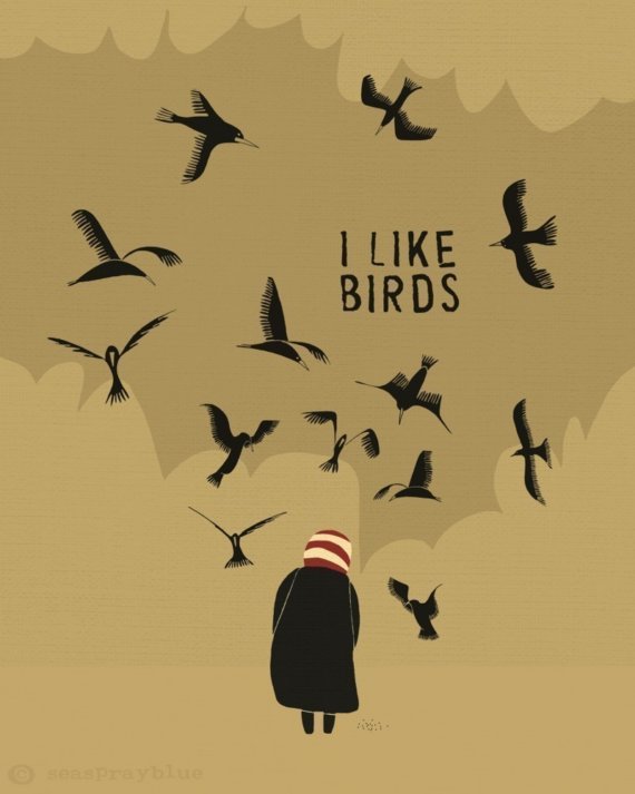 She likes birds. Птицы на книжных страницах. I like Birds. Птица ТОО. Птицы как мы Birds like us.