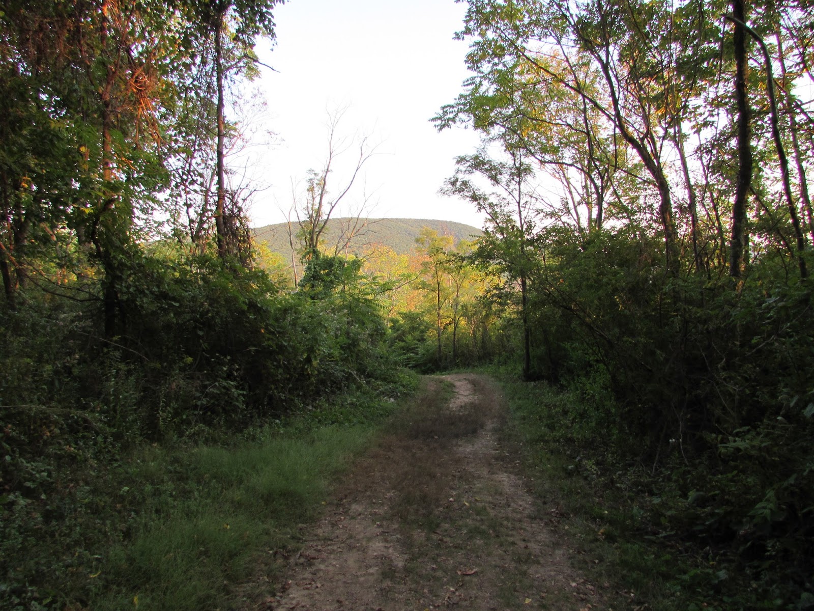 Hollidaysburg Chimney Rocks, Canal Basin Park, and Railroad History
