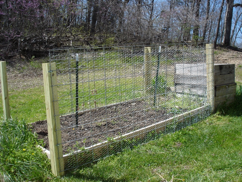 MOVING ON TO THE PAST Handy Clips for Chicken Wire Fencing