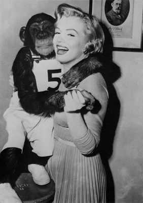 En 1952 chimpacé película "Me siento rejuvenecer" ("Monkey Business").