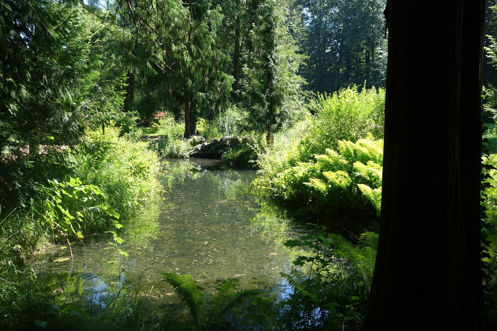 Z i m i s e i t e BallyPark Schönenwerd / Ausflugstipp CH