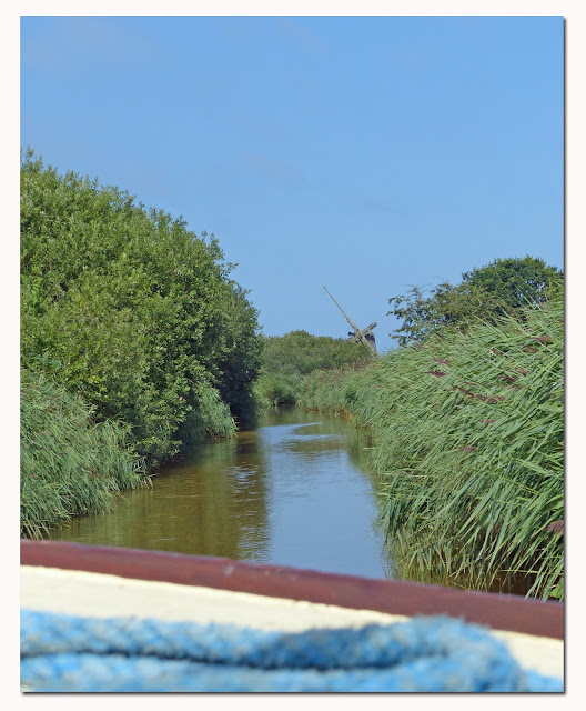 Wild and Wonderful Broadland Wildlife Cruise on Horsey Mere