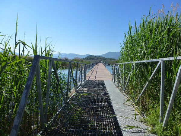 Griechenland erleben Der Prespasee in der NordwestEcke Griechenlands