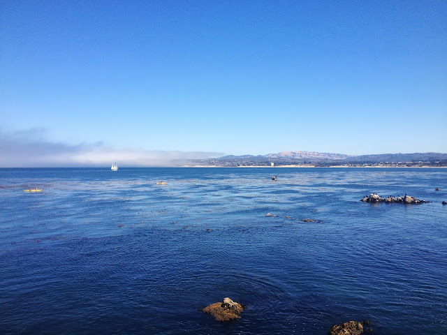 Monterey Bay view on Semi-Charmed Kind of Life