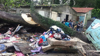  Tragedia: Mueren tres miembros de una familia al caerle árbol a vivienda donde dormían en Salcedo 