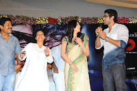Three Audio Launch Gallery [Andhrula Music]