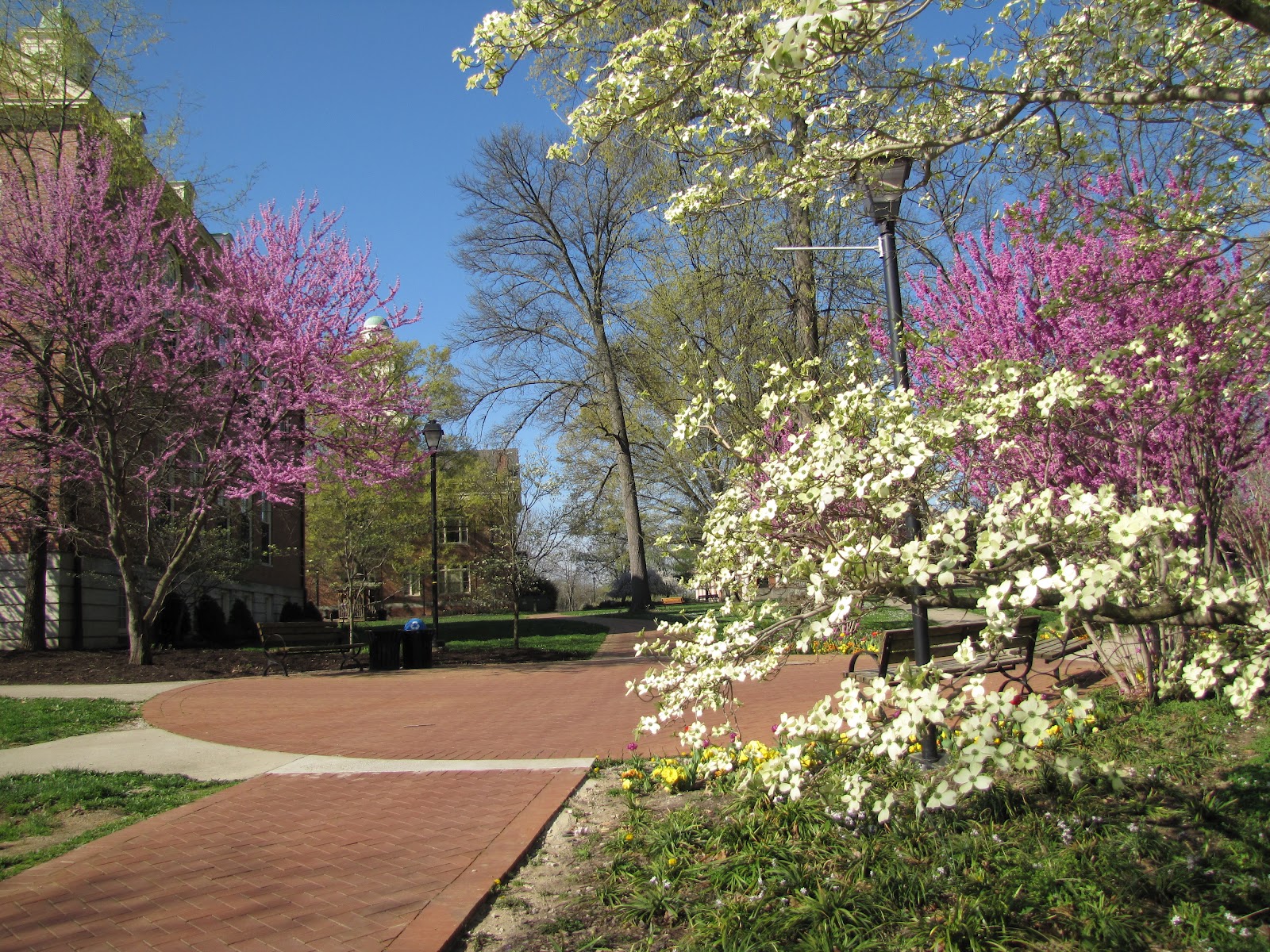 Appalachian Heartbeat: An Early Spring on the Berea College Campus