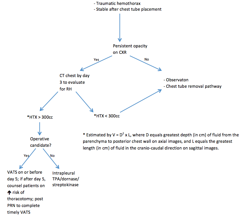 Clinical Management Algorithm For Retained Hemothorax vrogue.co