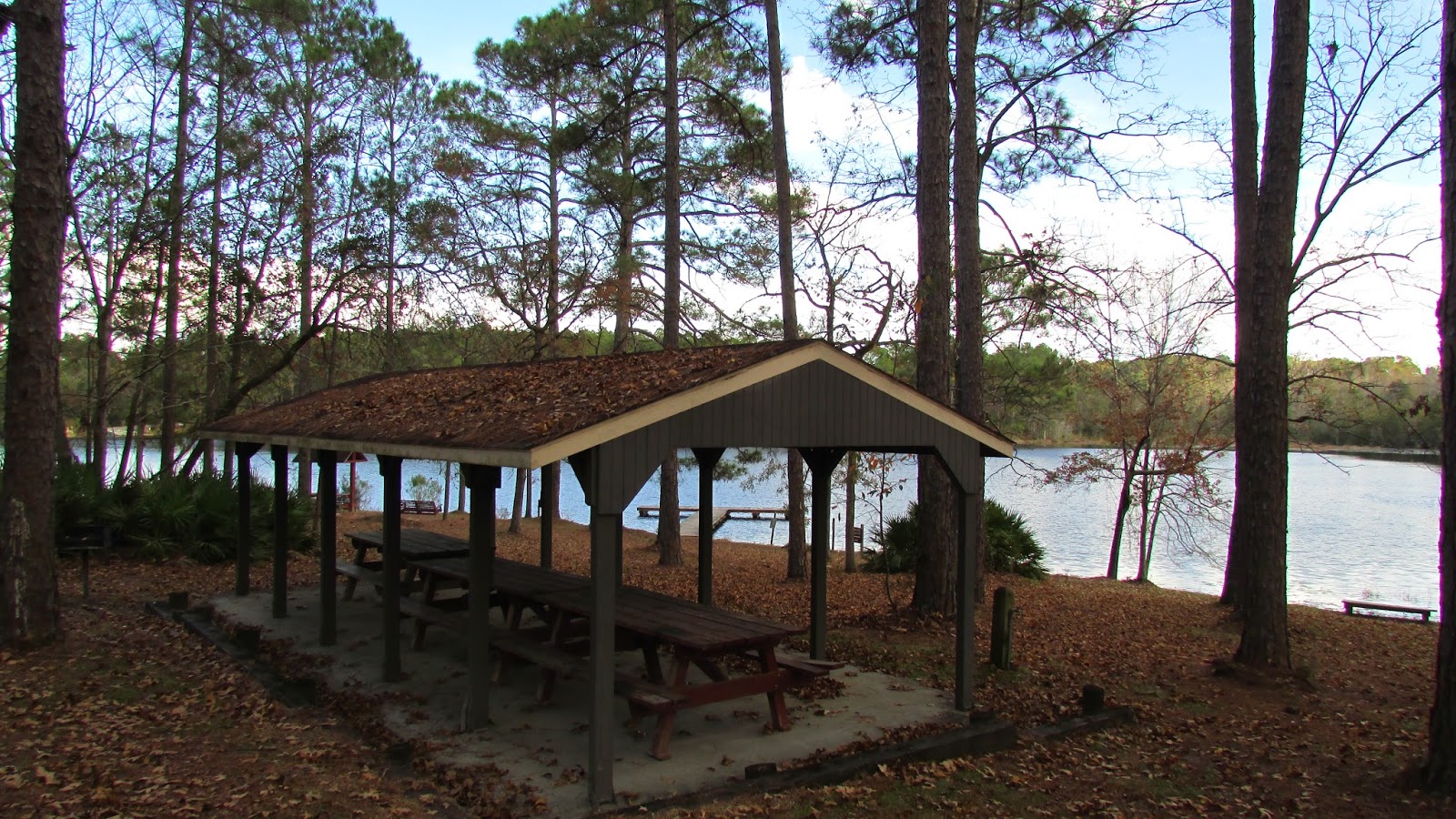 Adventures Of Toaster Gordonia Alatamaha State Park, Reidsville, GA.
