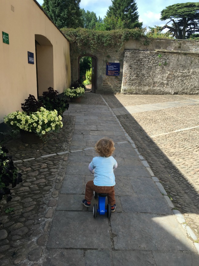 toddler-on-bike