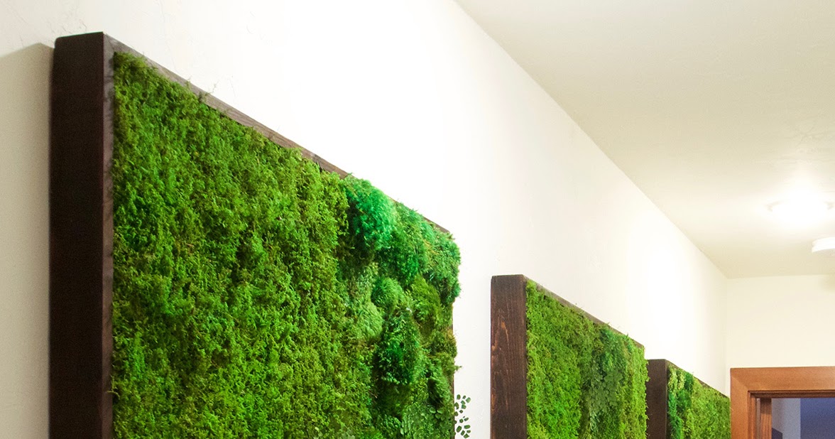 Living Art Baltimore's "Green Wall"