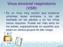virus sincial