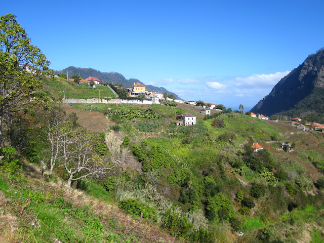 Madeira Levada do Castelejo