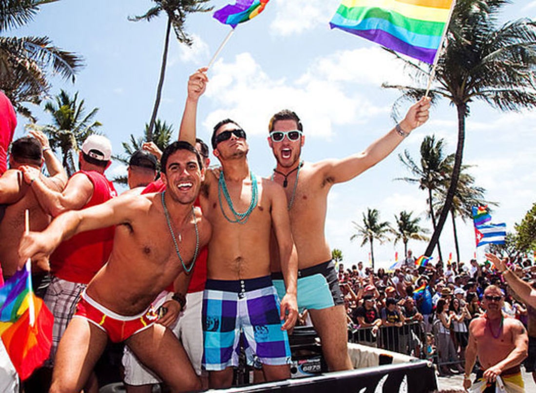 Gay De Miami Curico.