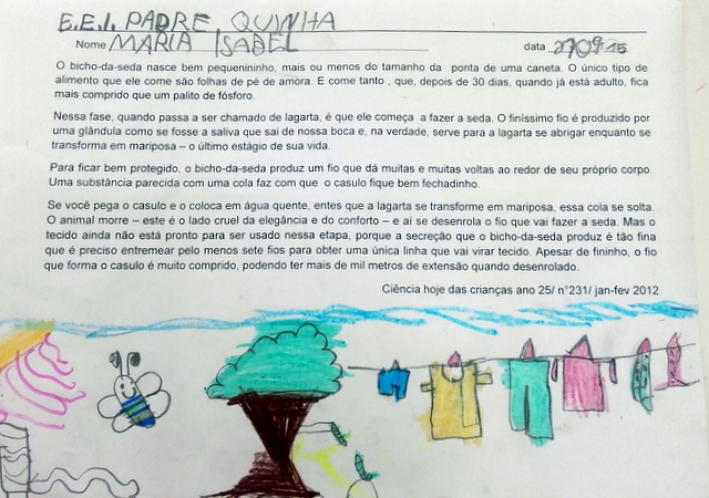 Bicho Da Seda Comeco Meio E Fim Exemplo De Projheto