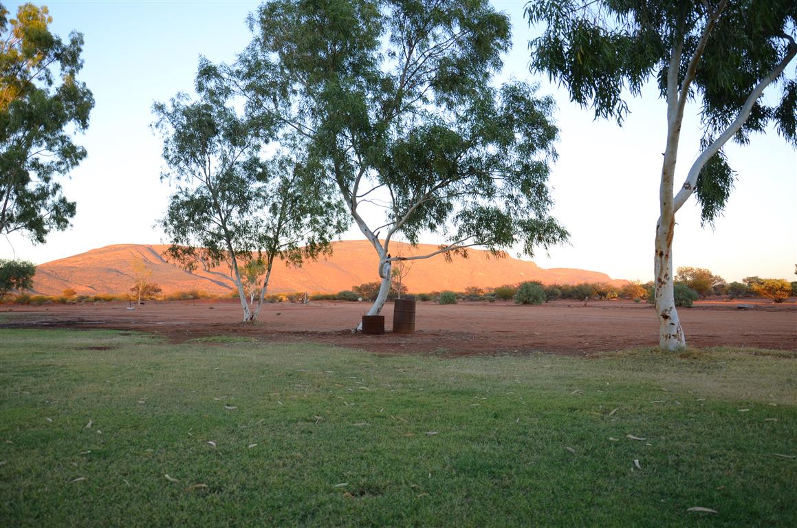 Australien 2013 Mt. AugustusTom Price