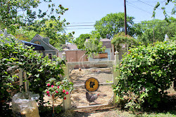 tour coop mckinney house4 texas