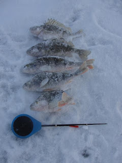 зимняя рыбалке в волынской области 2018