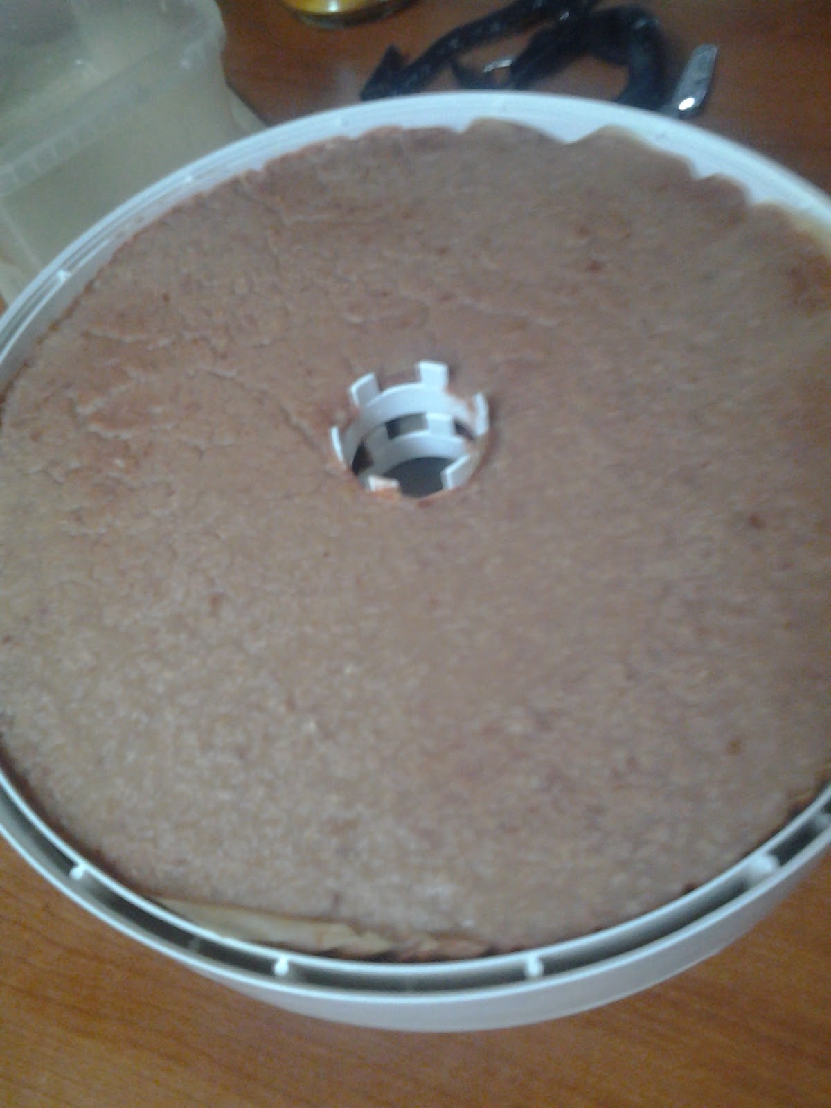 Look What I Made Apple Leather