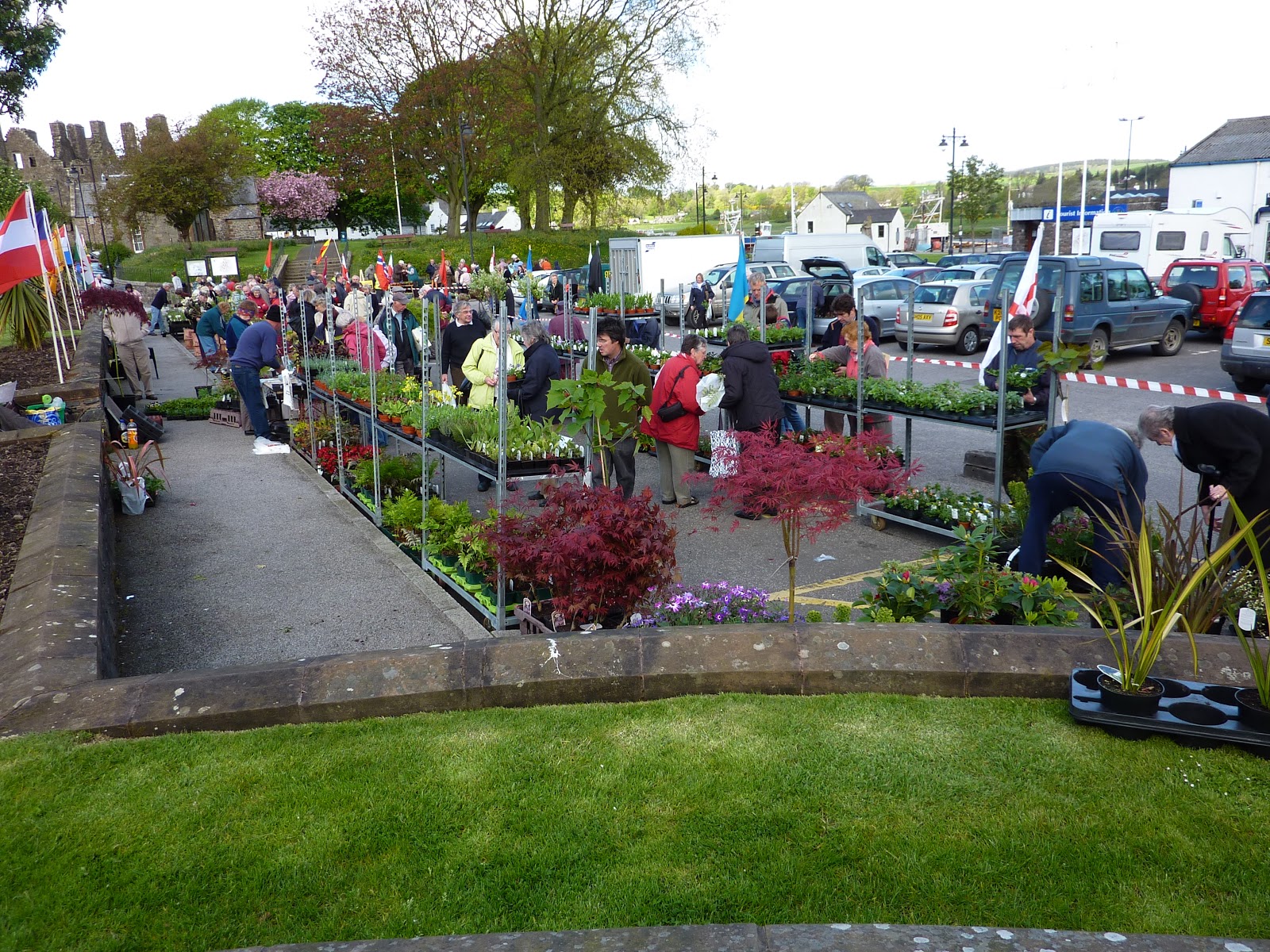 Old Age Travellers. Kirkcudbright 2009 2017