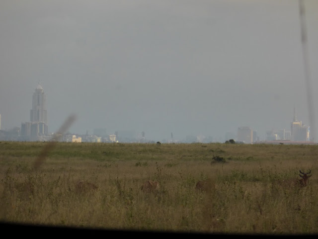 Vista de Nairobi desde el Parque Naciona