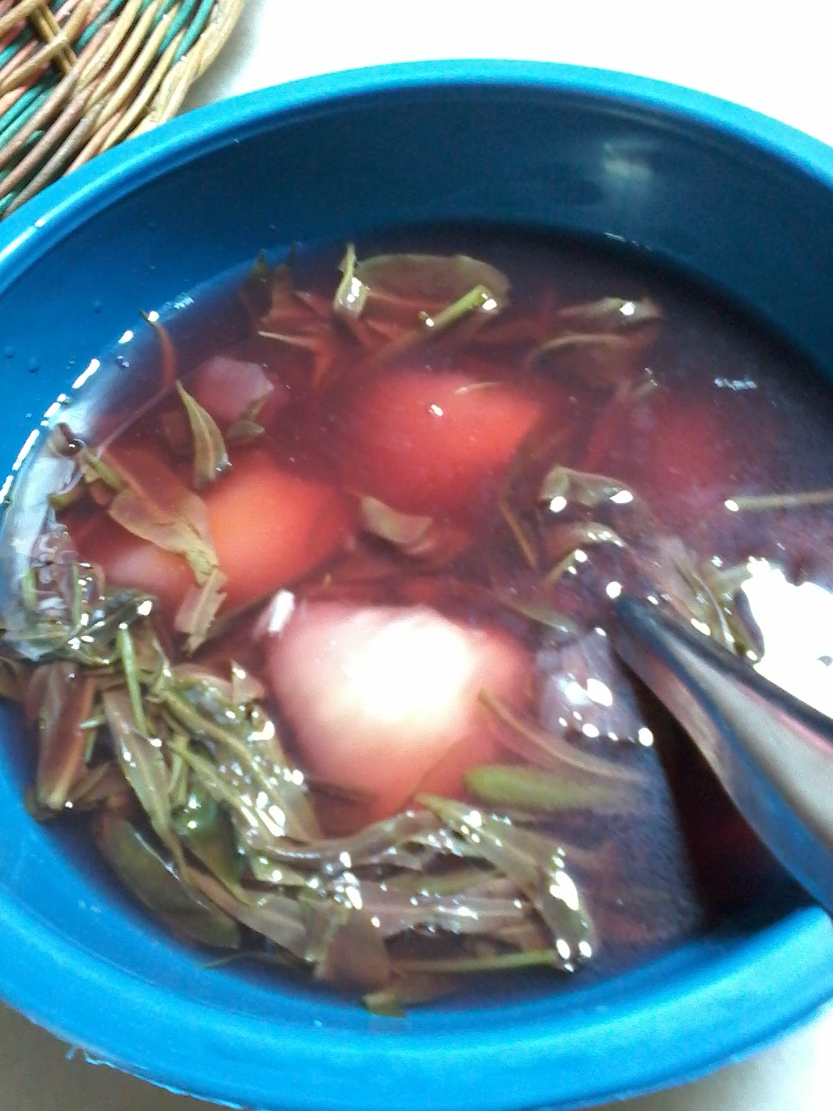 Ogys Suka Suki Sayur Pucuk Paku Merah