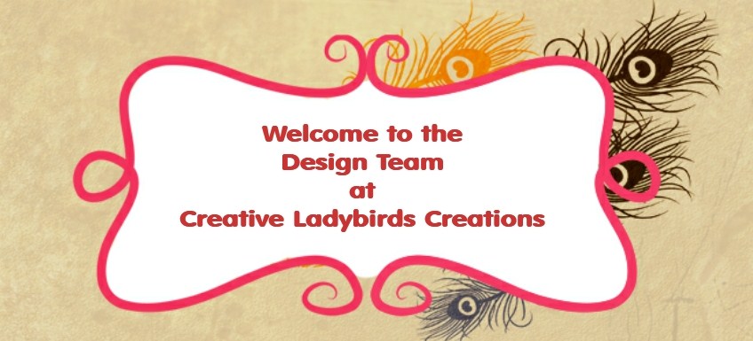 Creative Ladybirds Creations