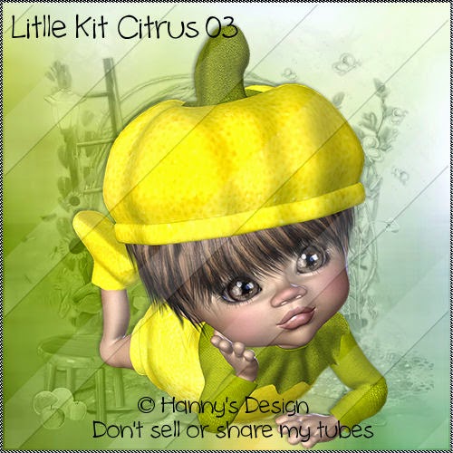 Hanny's Design Place Little Kit Citrus