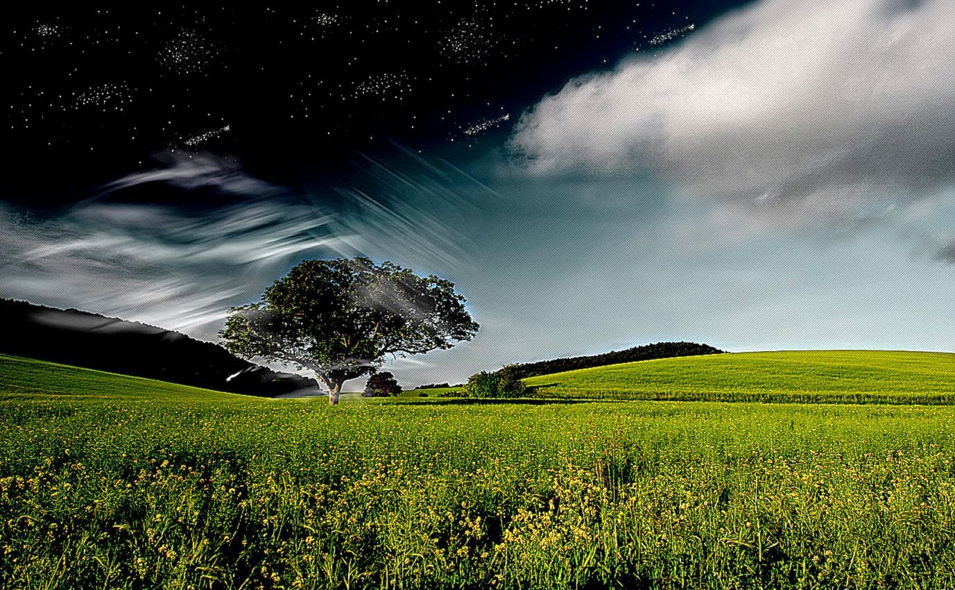 HD Wallpaper HD 3  HD Wallpaper D