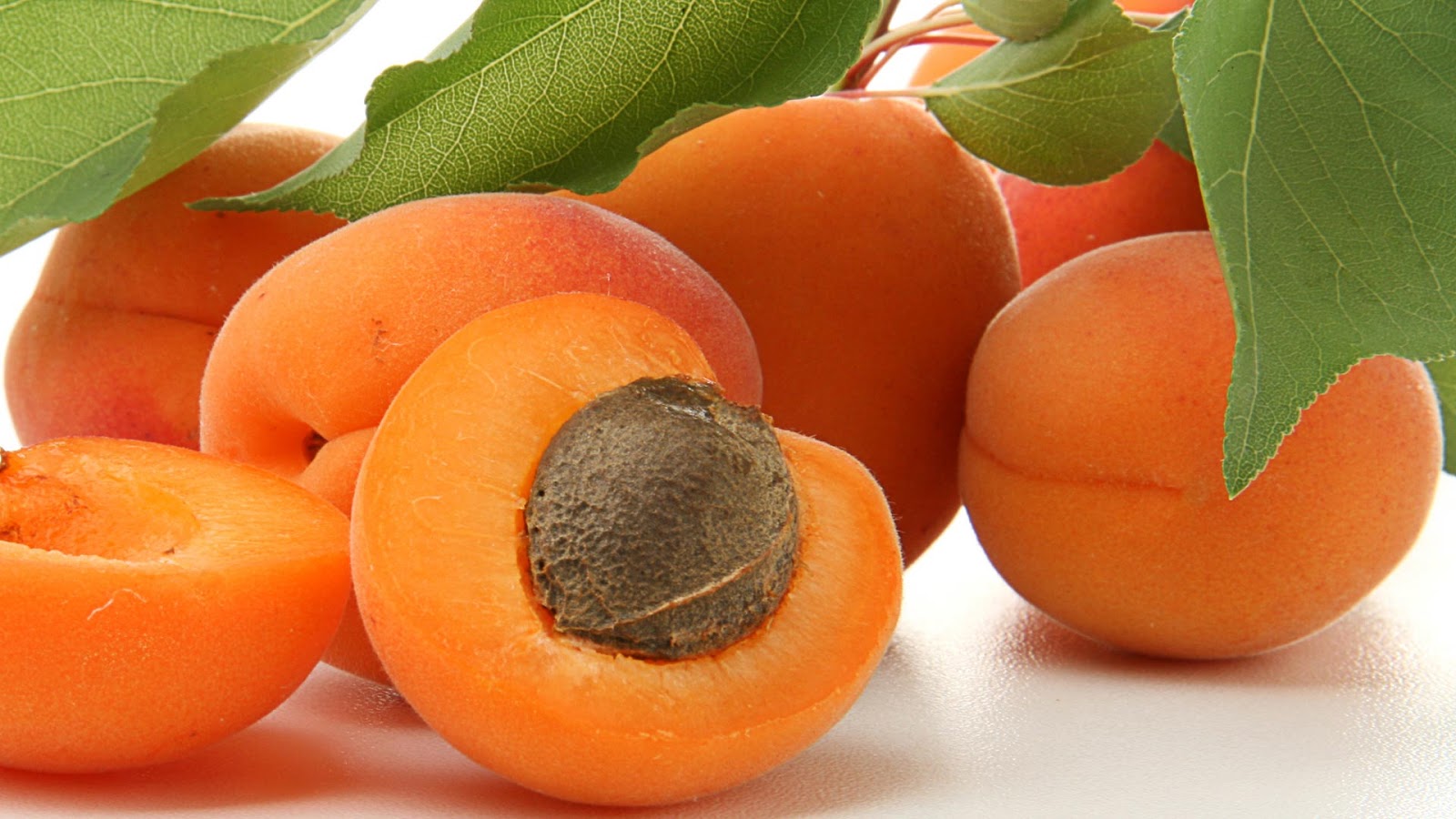 абрикос свете. сон абрикосы. субханы абрикос. урюк плод. дерево со спелыми абрикосами.