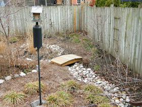 Riverdale Toronto spring garden clean up before by Paul Jung Gardening Services