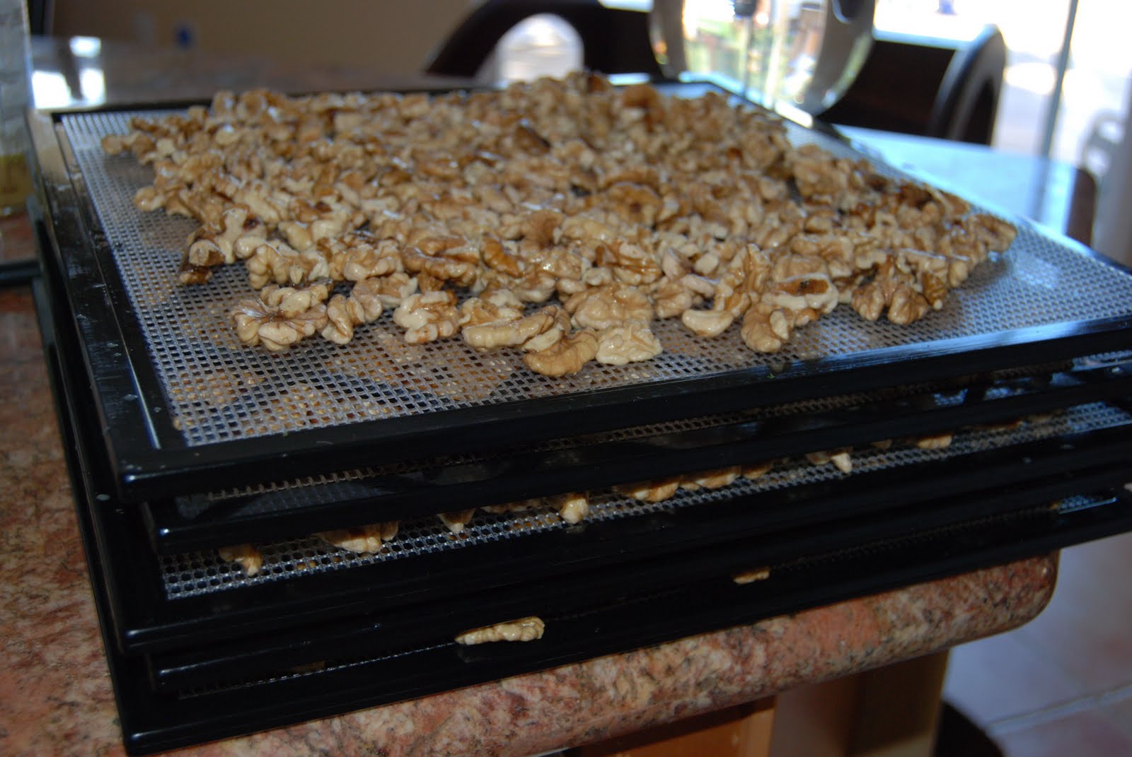 Natural Health and Prevention Soaking and Drying Nuts