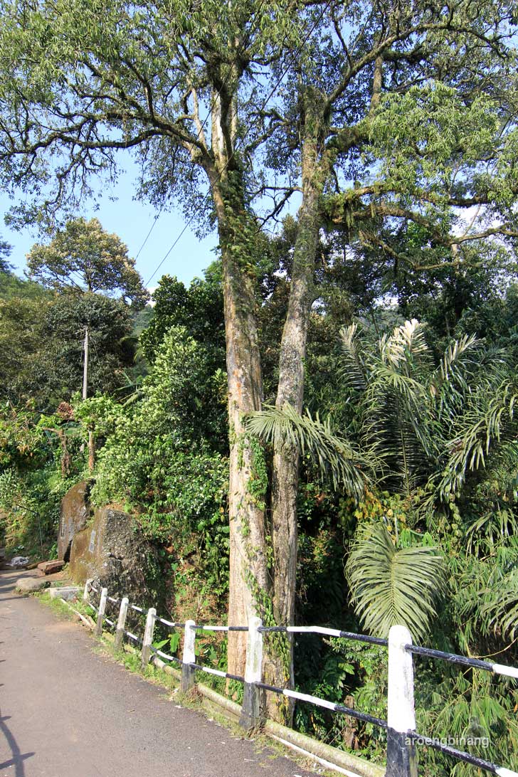 jembatan lengkung lolong pekalongan