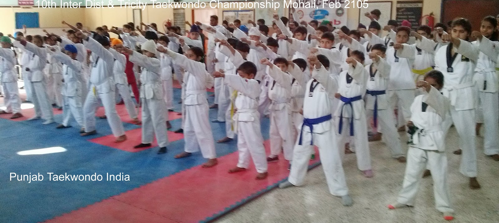Taekwondo Academy of Punjab