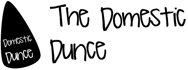 The Domestic Dunce
