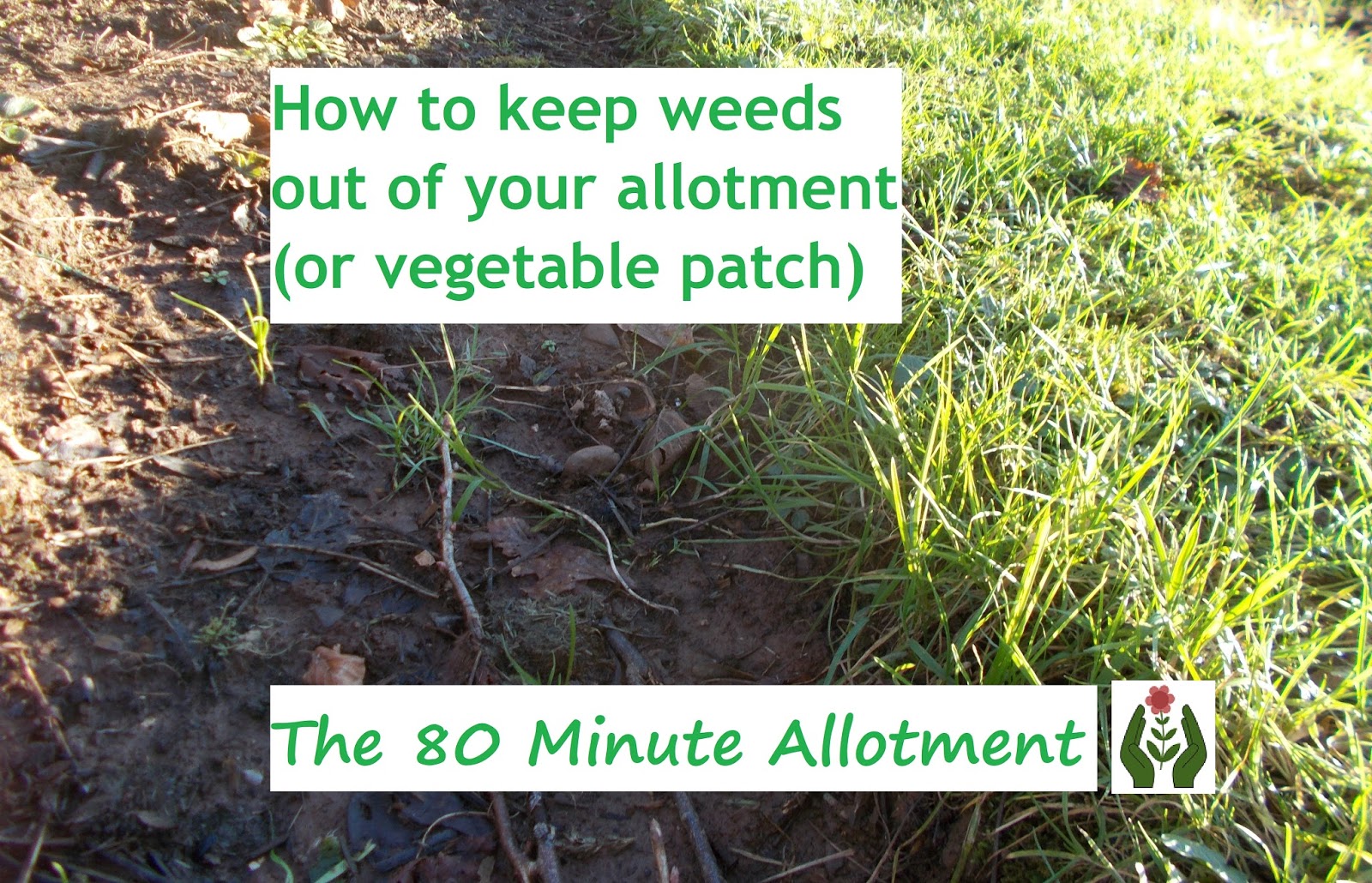 The Green Fingered Blog How to keep weeds out of your allotment (or vegetable patch)