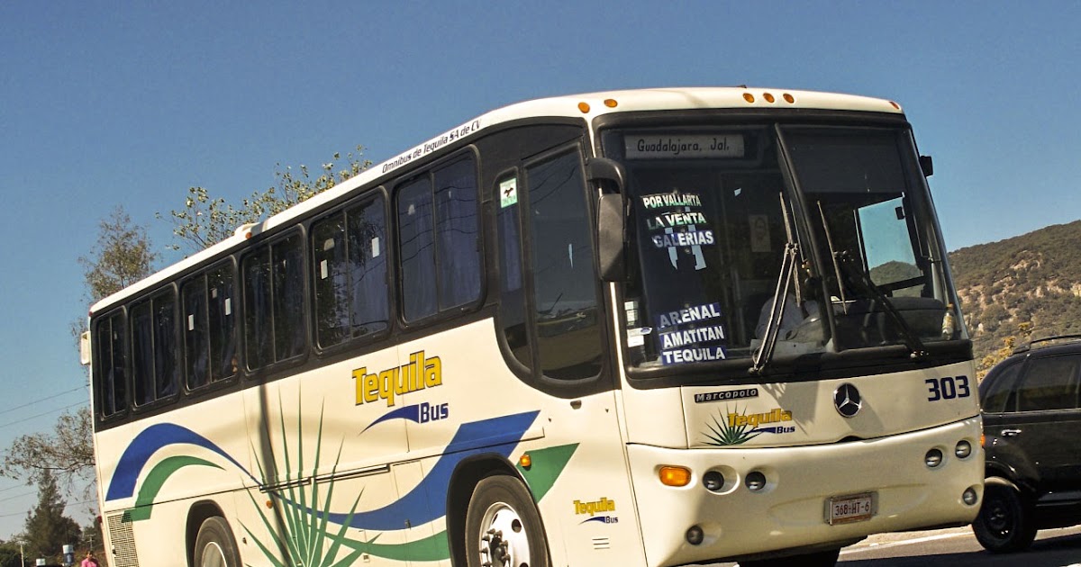 MAXIBUSES OMNIBUS DE TEQUILA, TEQUILA BUS
