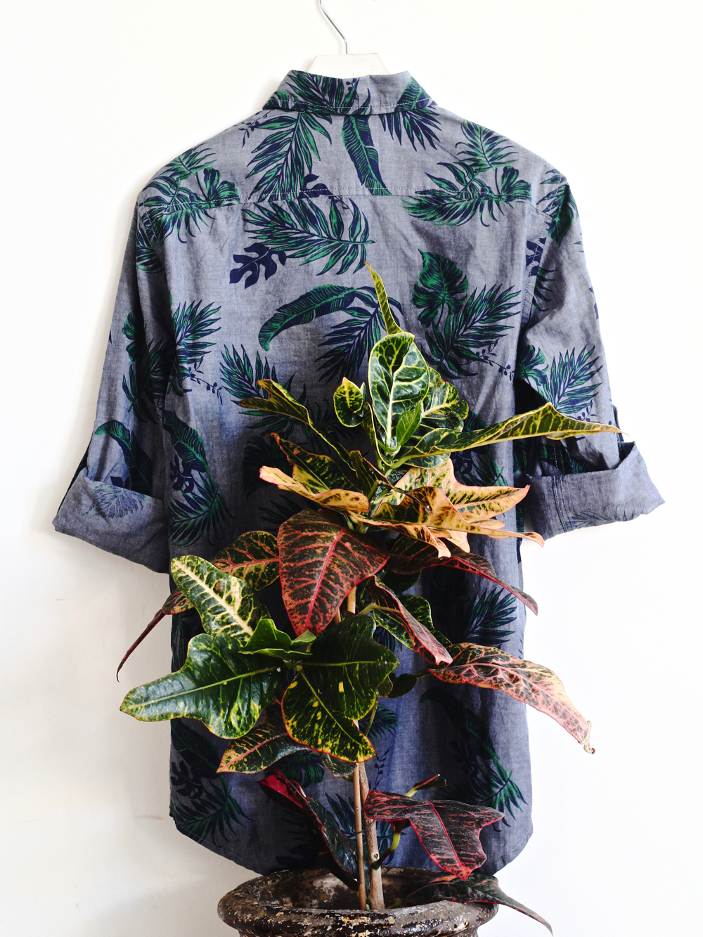 BLOG-MODE-HOMME-DECO-STYLE-INTERIEUR-PLANTES-POUR-MASCULINES-maplantemonbonheur-design-ecolo-vegetal-naturel - scindapsus schefflera croton philodendron monstera langue de belles meres 